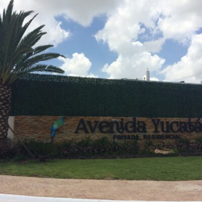Andadores Av. Yucatán__galeria4